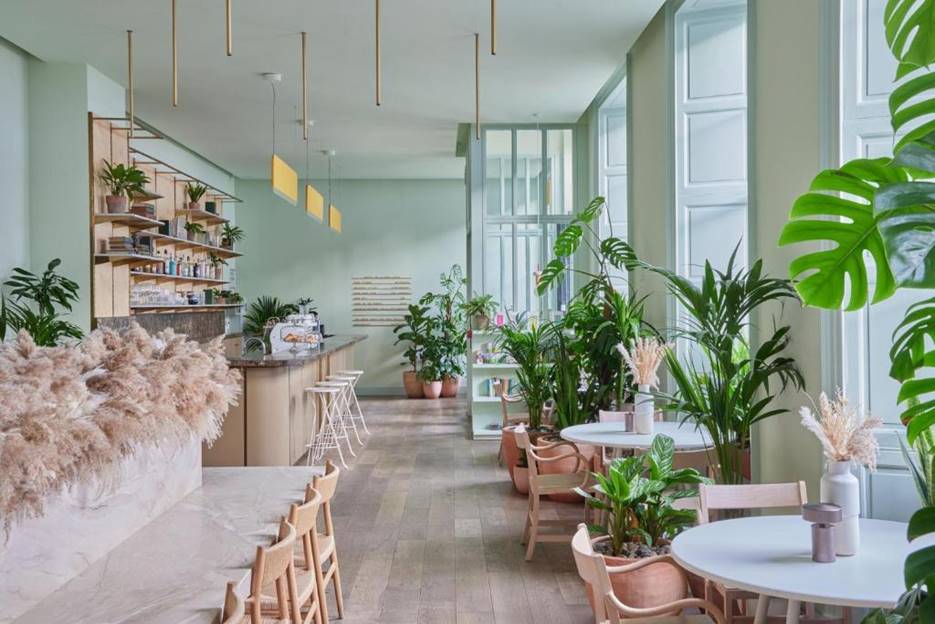 The Best Hotels in Edinburgh - Eden Locke Hotels Edinburgh - Nomadoverse