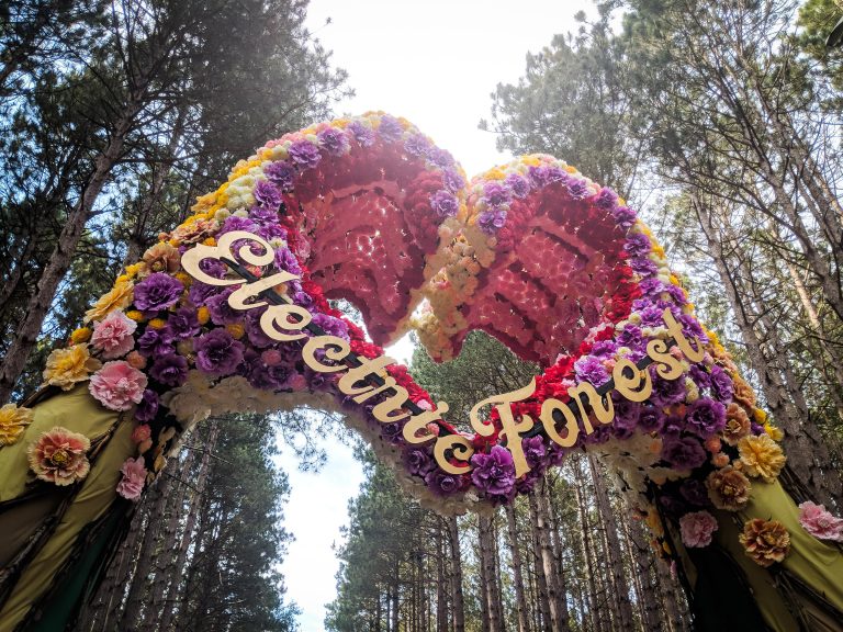 Most Popular Festivals in the USA 2025 - Electric Forest – Rothbury, Michigan - Nomadoverse