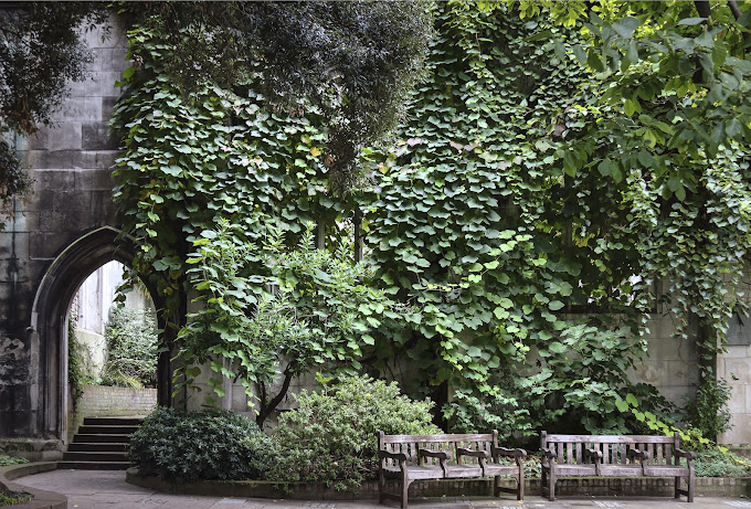 Best Picnic Spots in London’s  - Nomadoverse - St Dunstan-in-the-East (City of London)