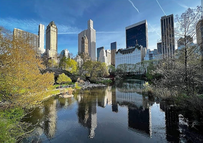 Top Places to Visit in New York City 2025 - Central Park (Manhattan)