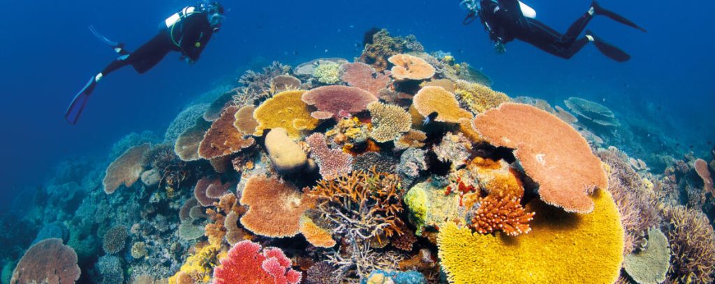 Great Barrier Reef (Australia)