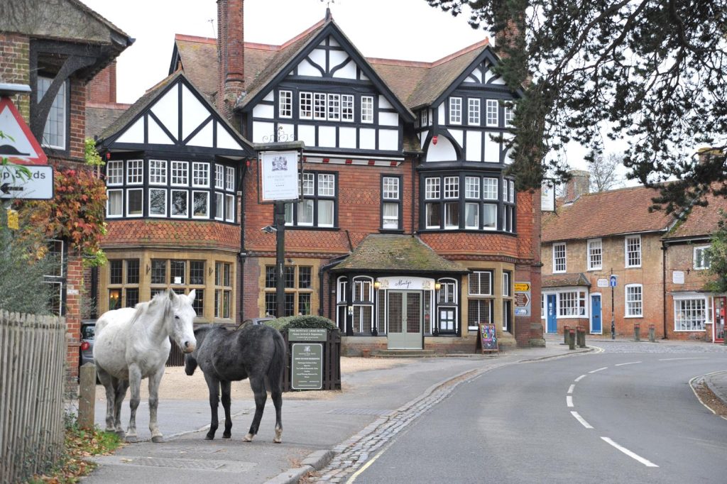 The Montagu Arms (Hampshire, New Forest)