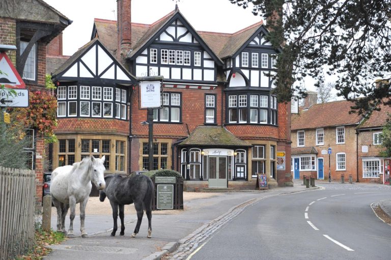 The Montagu Arms (Hampshire, New Forest)