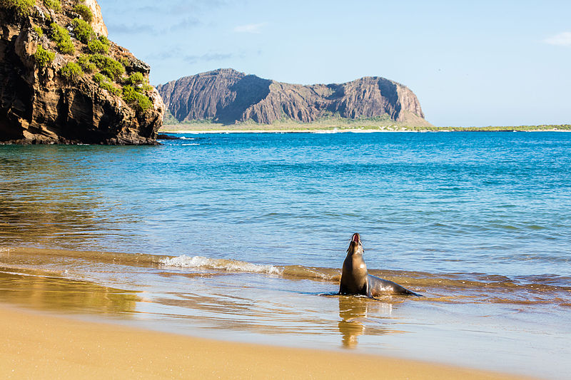 Best Islands for Relaxation in 2025 Top Getaways Guide -nomadoverse -Galapagos Islands