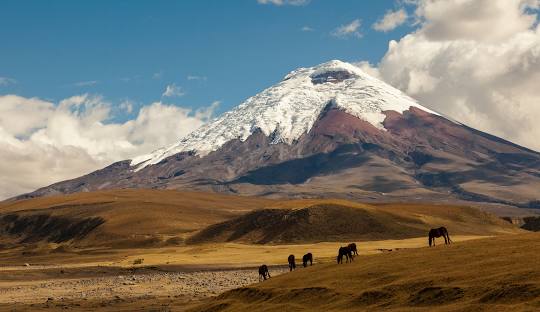 Ecuador Mountain nomadoverse