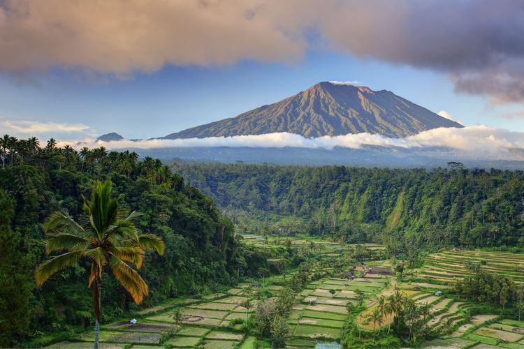 Your Most Reliable Travel Guide to the Island of Gods Bali 2025 - Nomadoverse